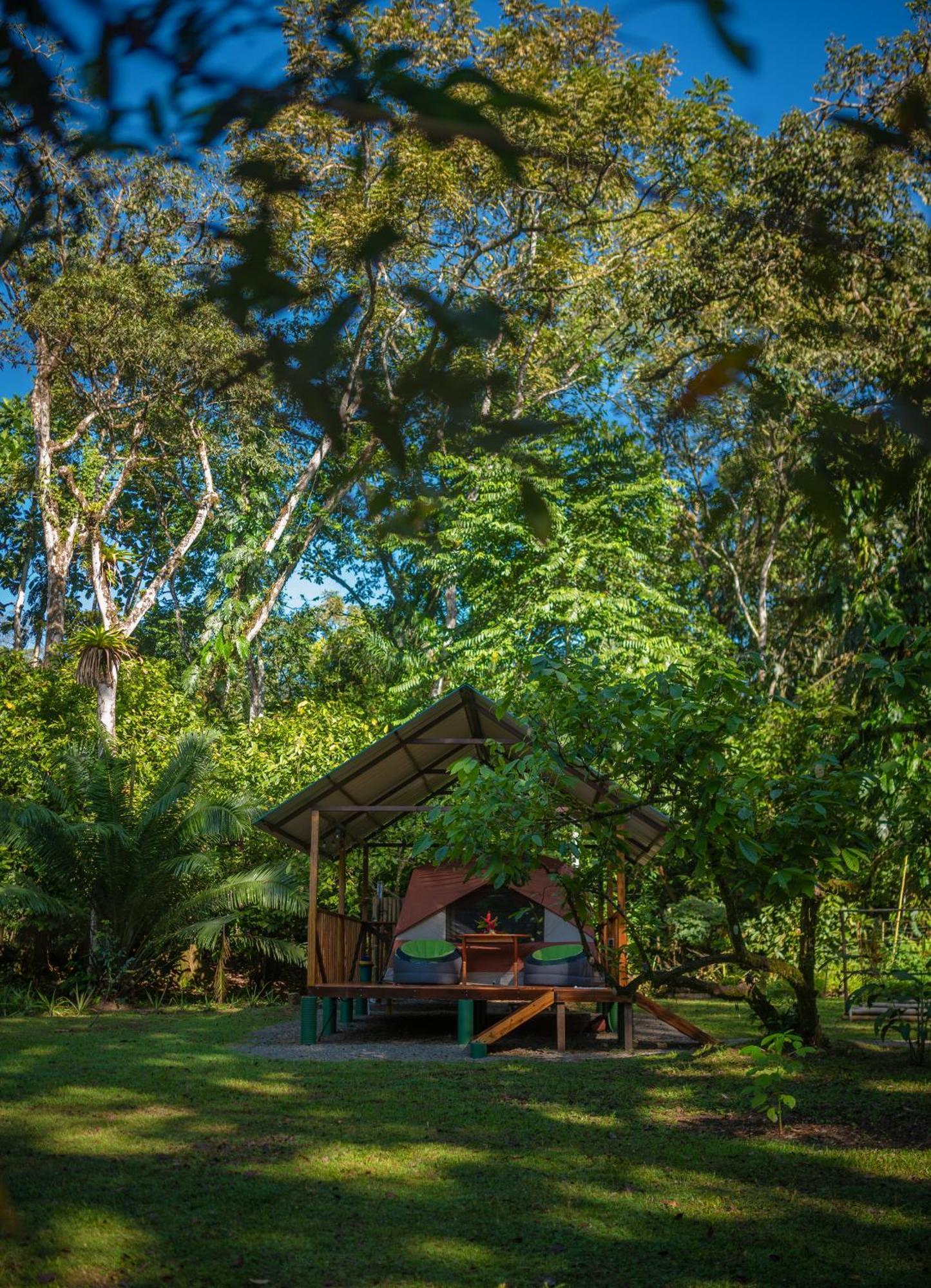 Dolphin Quest Costa Rica Villa Piedras Blancas Exterior foto